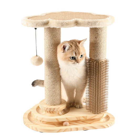 Pretty Kitty Scratching Post