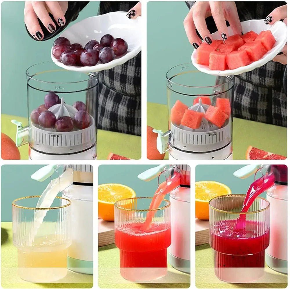 Portable Juicer