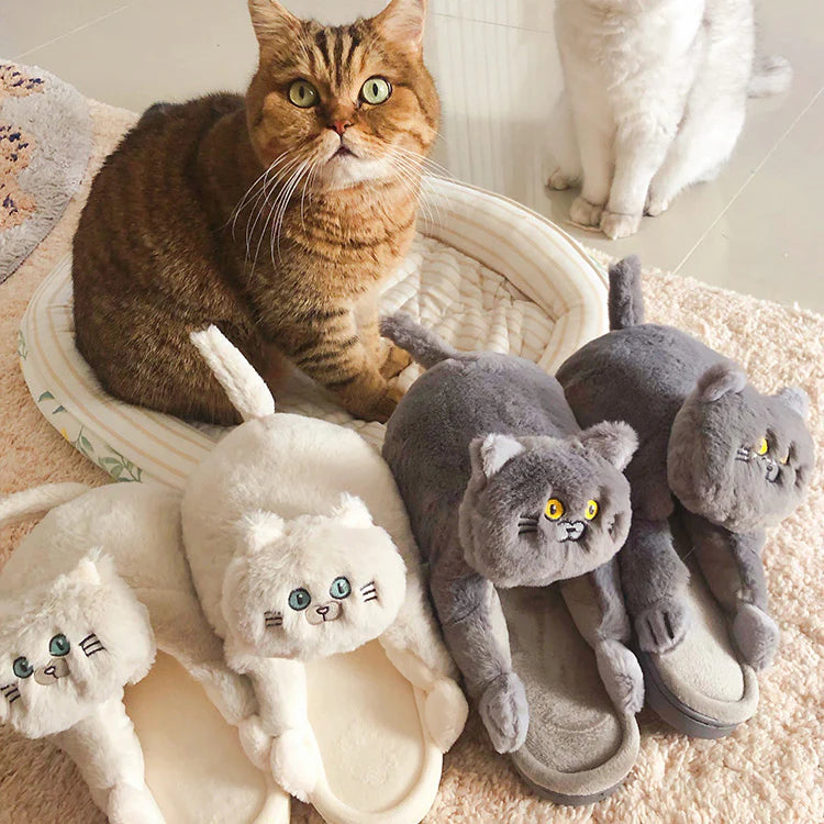 Pretty Kitty Slippers