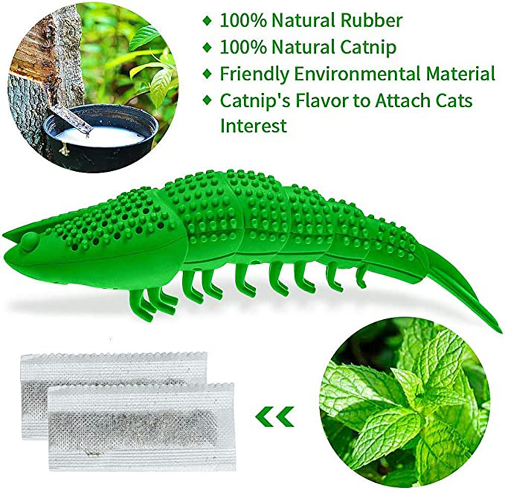 Pet Toothbrush Toy