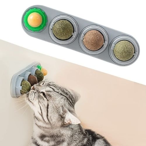 4-in-1 Catnip Wall Balls