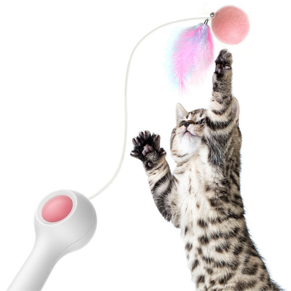 Retractable Stick Feather Toy