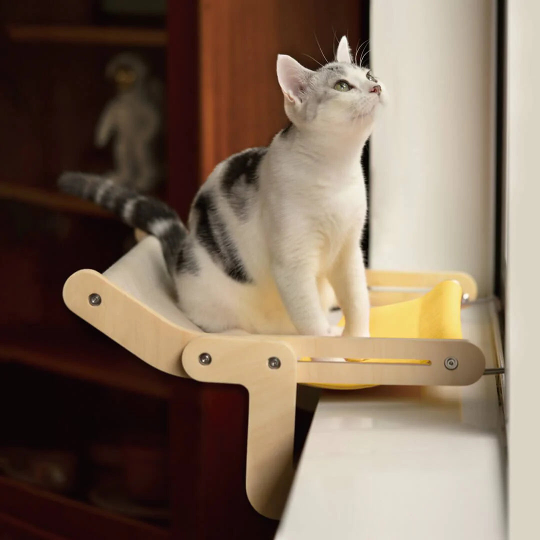 Adjustable Kitty Window Perch