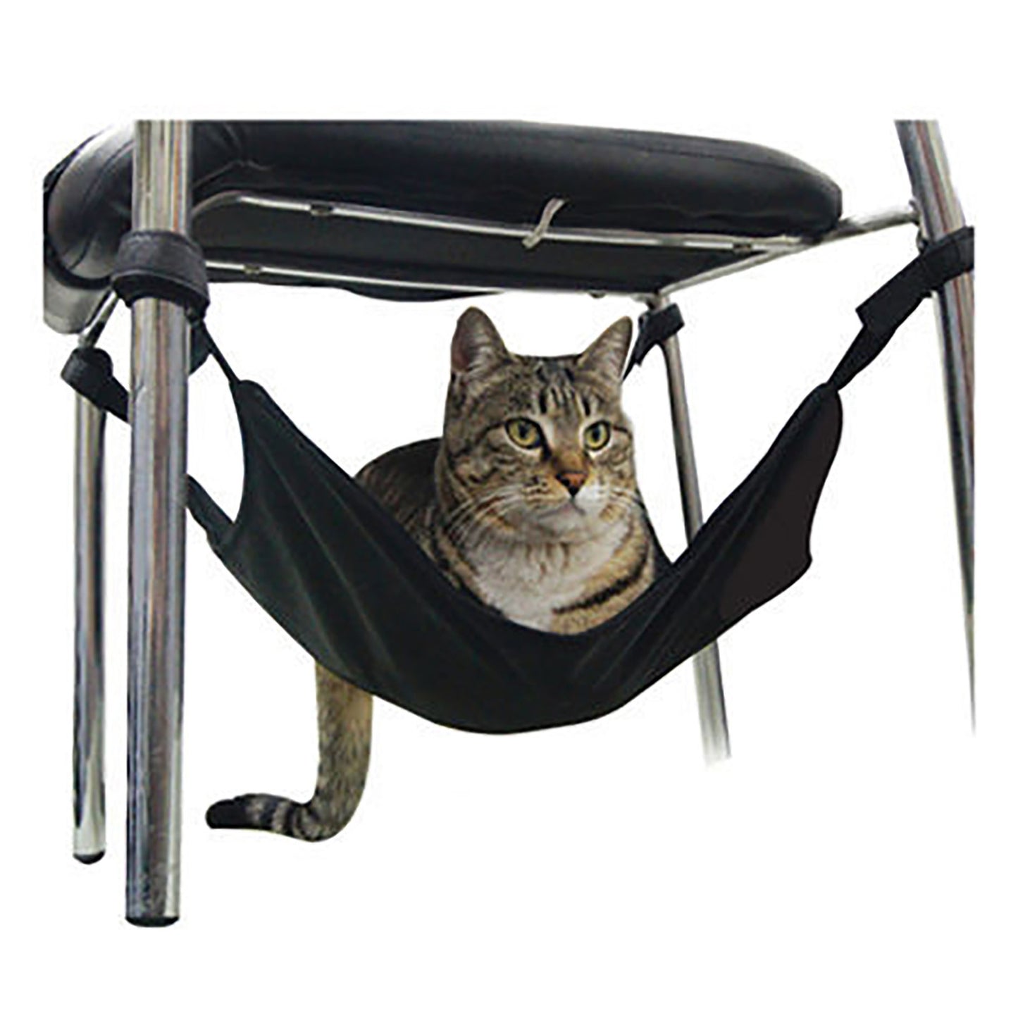 Kitty’s Hammock