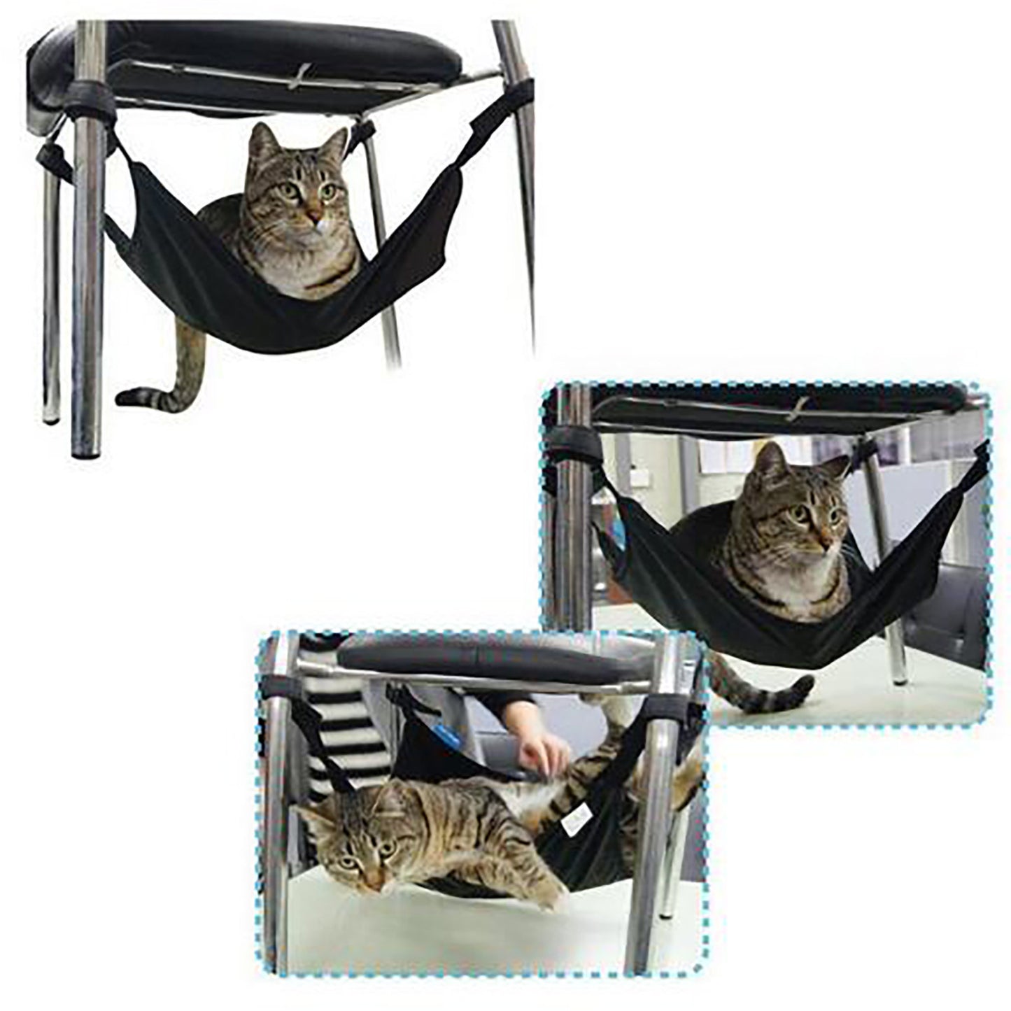 Kitty’s Hammock