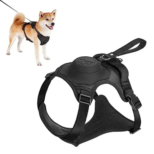 Dog Harness w/ Retractable Leash